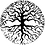 skyw33